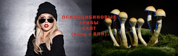 твердый Горнозаводск