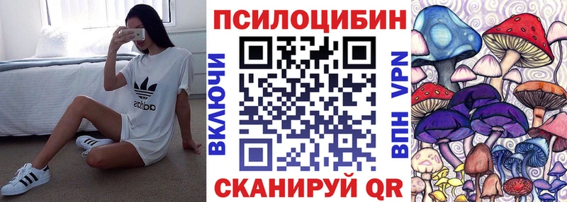 Псилоцибиновые грибы мицелий  ссылка на мегу tor  Звенигород 